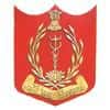 Armed Forces Medical College (AFMC), Pune Logo
