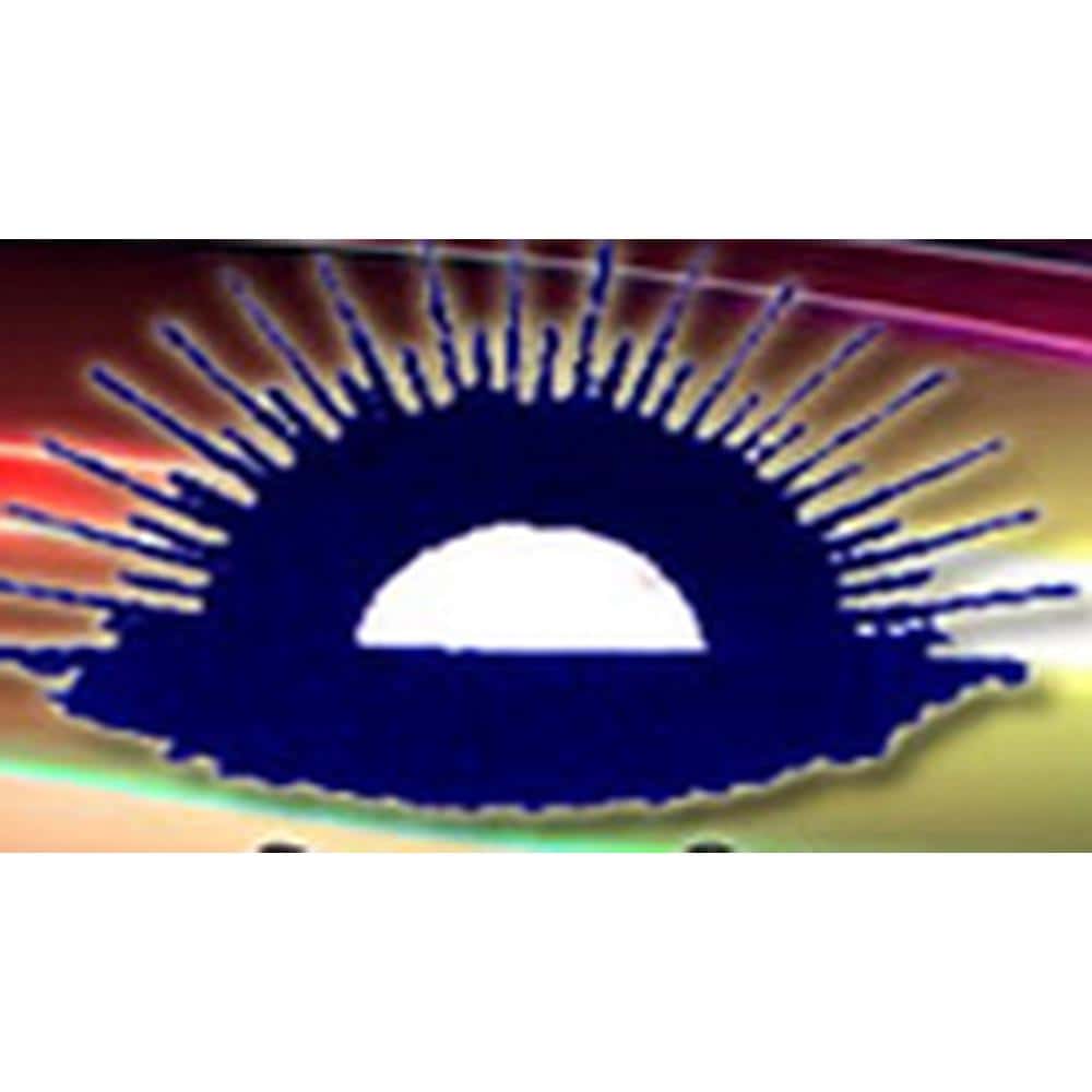 Amguri College Logo